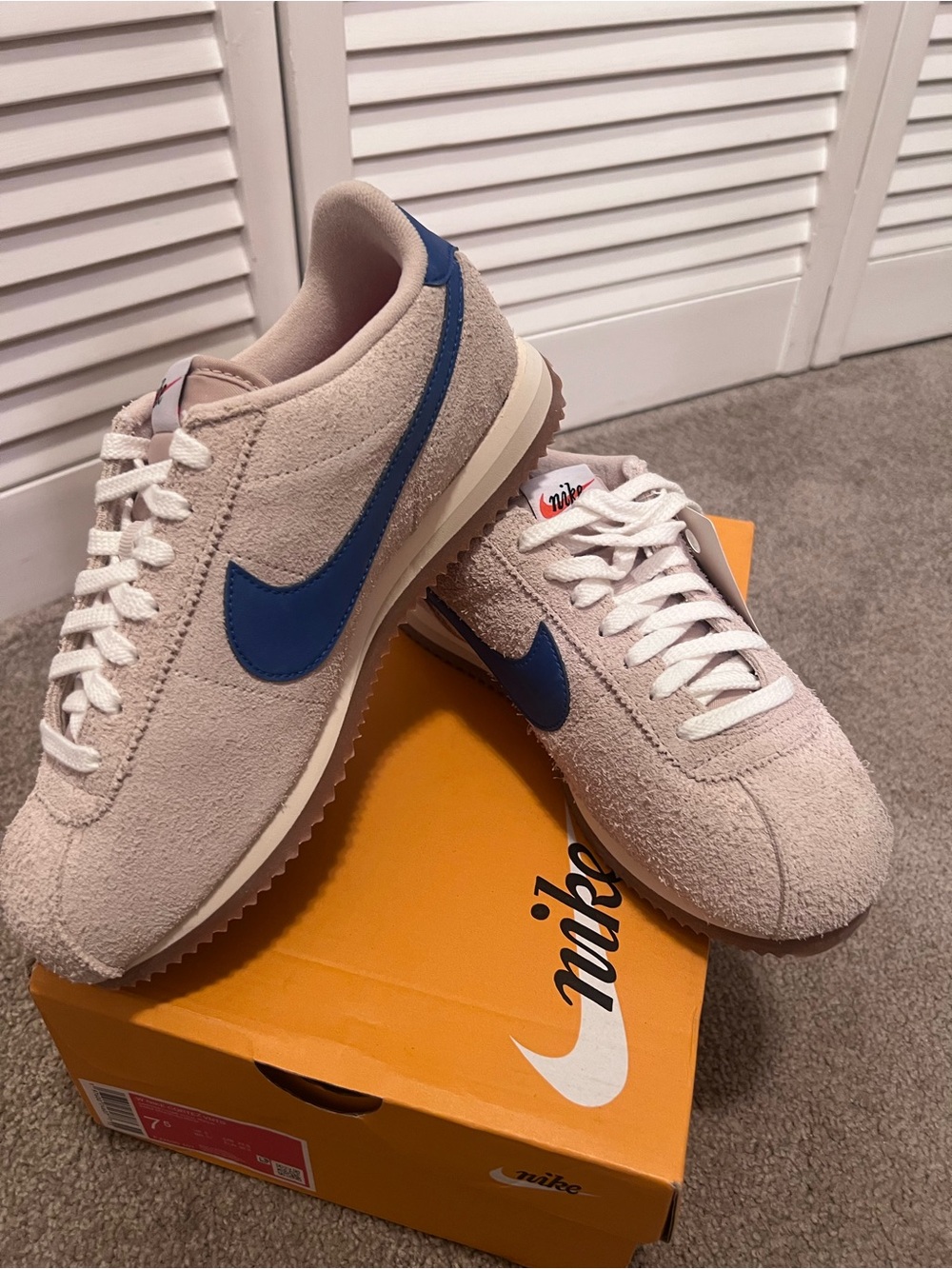 Nike Women’s Suede Low-Top Sneakers in Beige and Blue